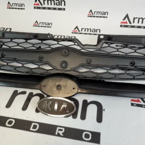 GRILLE ASSY-RAD جلو پنجره ریو